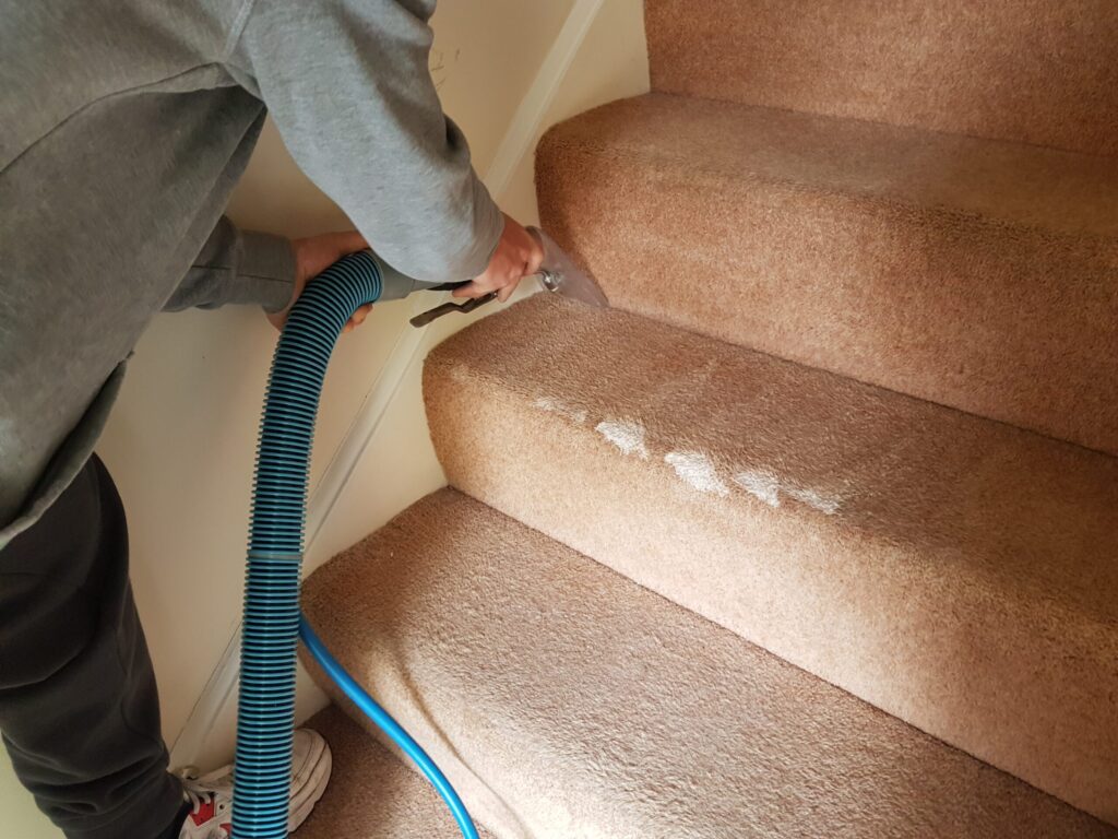fresh carpet cleaning